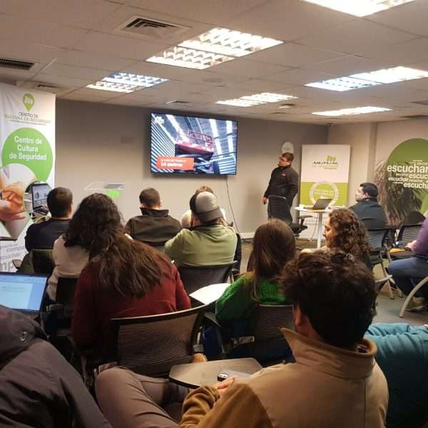 ALO Group mutualdeseguridad 8014